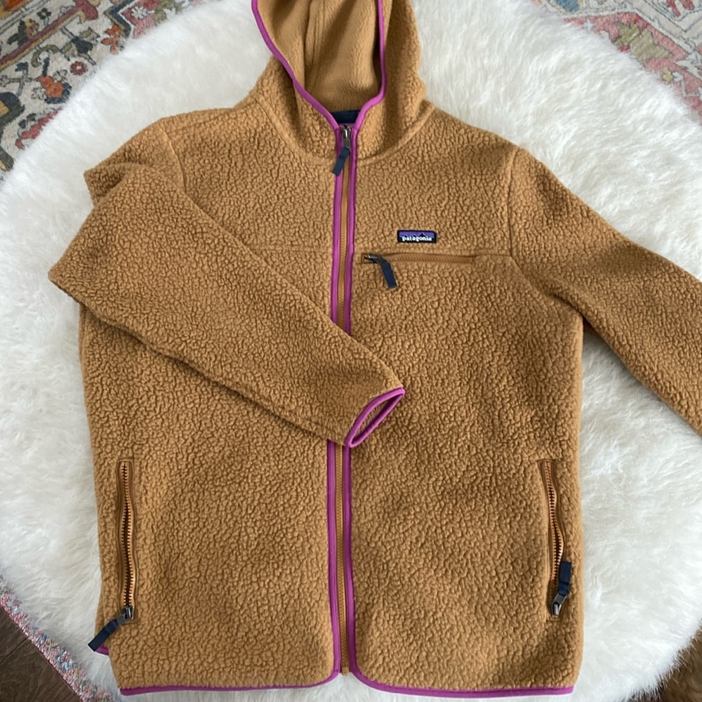 Patagonia retro pile fleece zip hoody